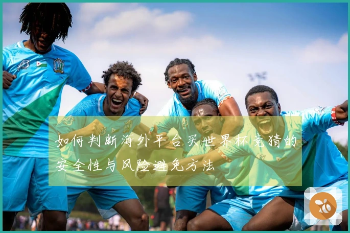 如何判断海外平台买世界杯竞猜的安全性与风险避免方法