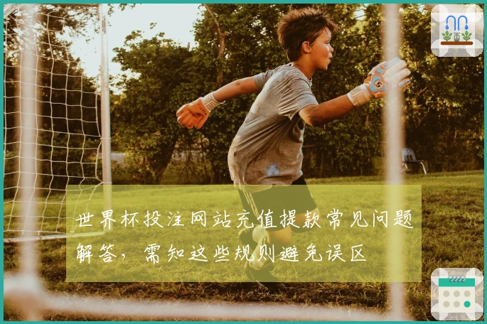 世界杯投注网站充值提款常见问题解答，需知这些规则避免误区