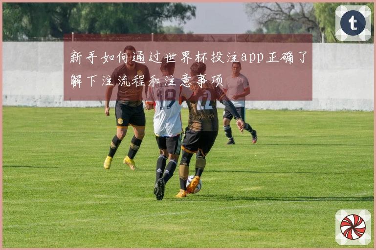 新手如何通过世界杯投注app正确了解下注流程和注意事项