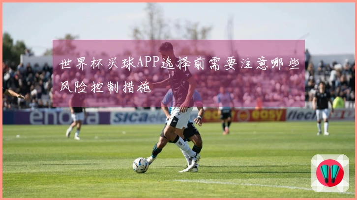 世界杯买球APP选择前需要注意哪些风险控制措施