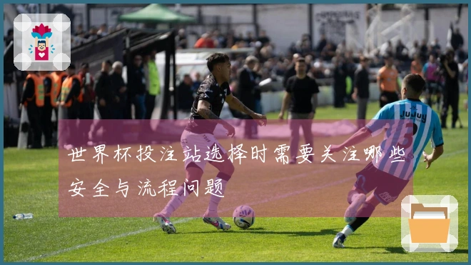 世界杯投注站选择时需要关注哪些安全与流程问题