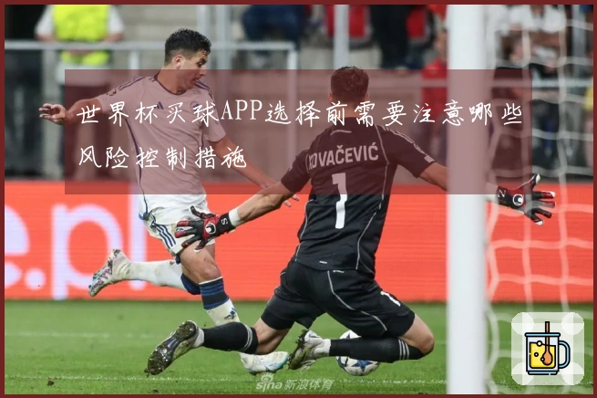 世界杯买球APP选择前需要注意哪些风险控制措施